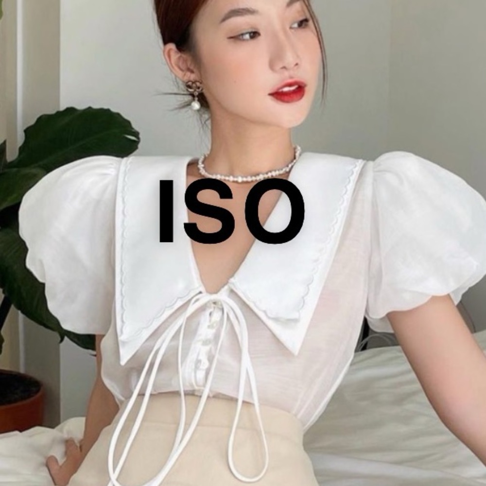 ISO DEAR JOSE LILY TOP